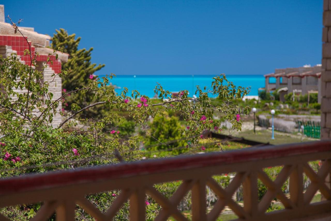 Villas Petro Beachエル・アラメイン エクステリア 写真