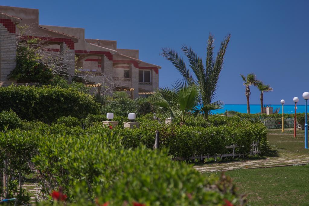 Villas Petro Beachエル・アラメイン エクステリア 写真